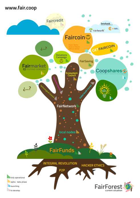 fairforest_currentsituation